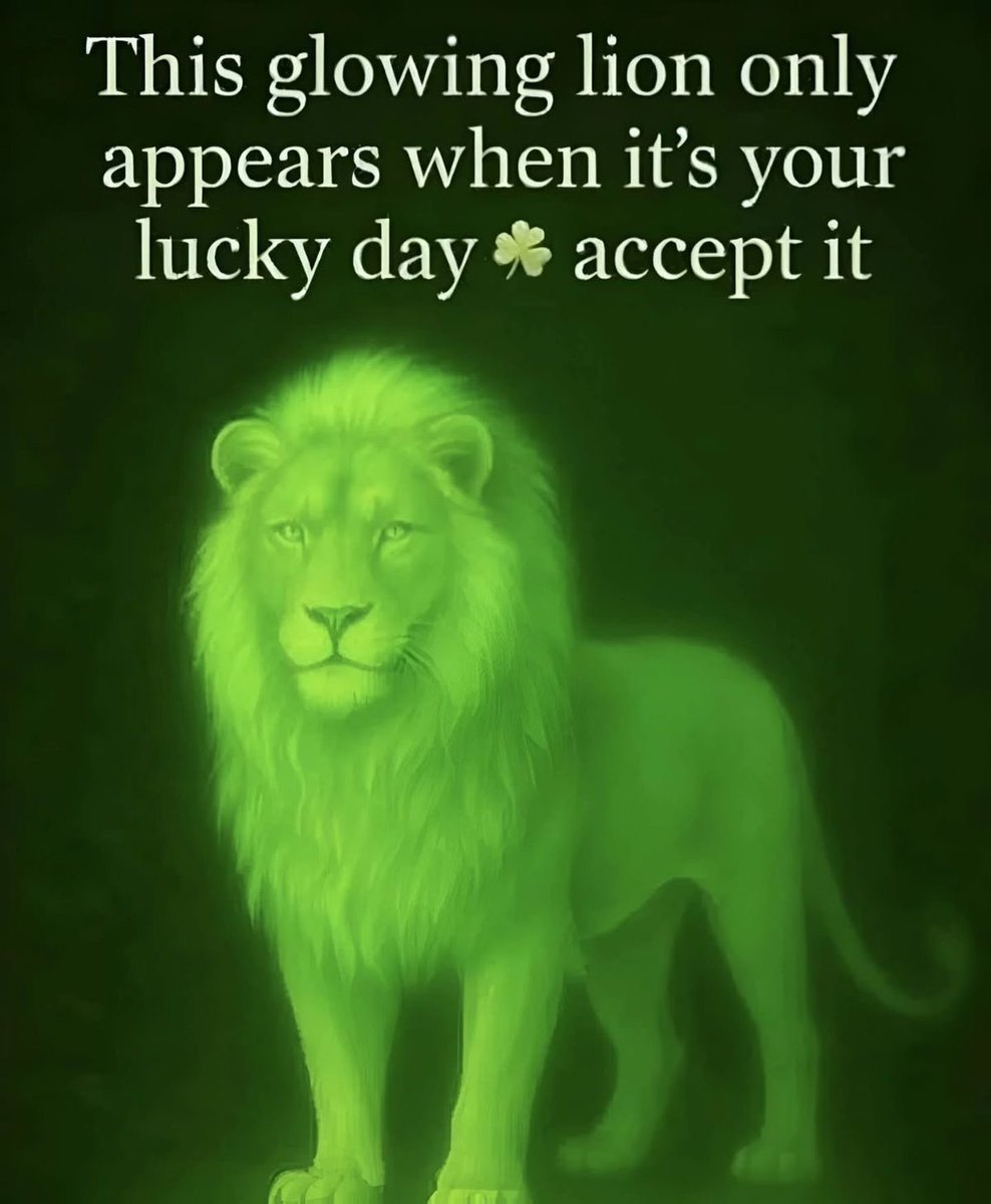 ProgressCode🌺 tweet media