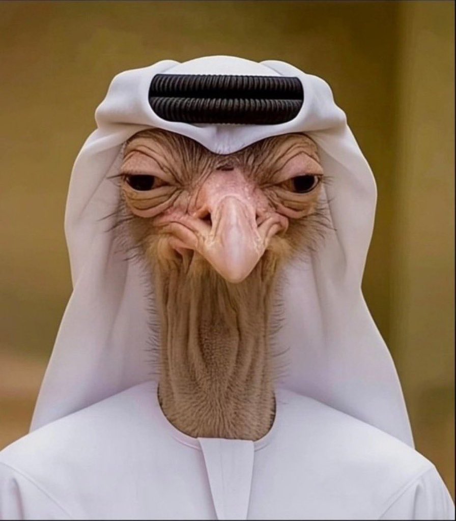 عسل، غدا أجمل tweet media