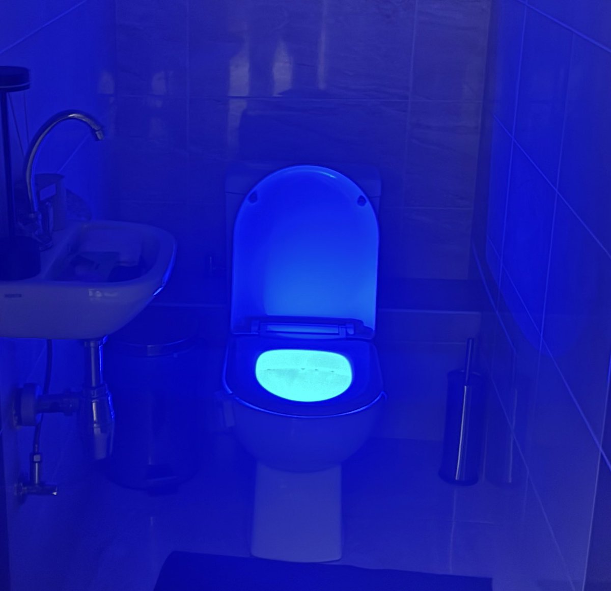 Oleksa🧬 tweet media