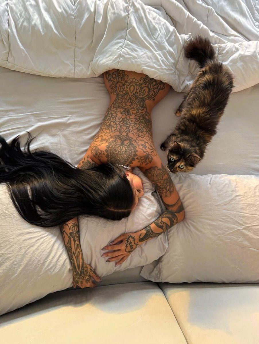 ✺ 𝖫𝖺𝗌𝗍𝗂𝗇𝗅𝗂𝗇𝖾 tweet media