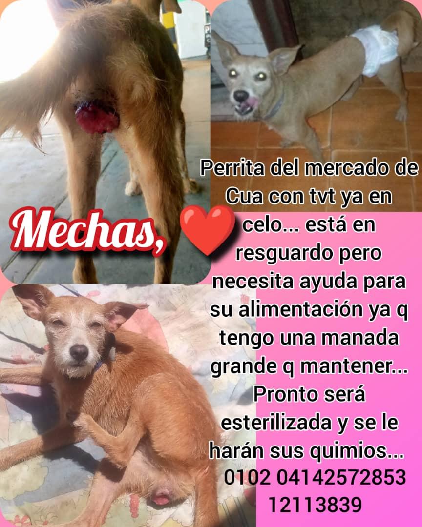 @RamsesVaz64 tweet media