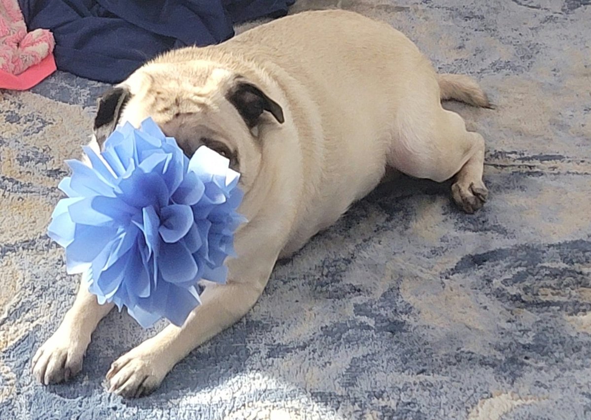 💗ANGELSARAH💗 S&O🍊 tweet media