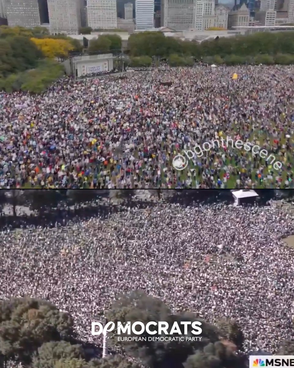 European Democrats tweet media