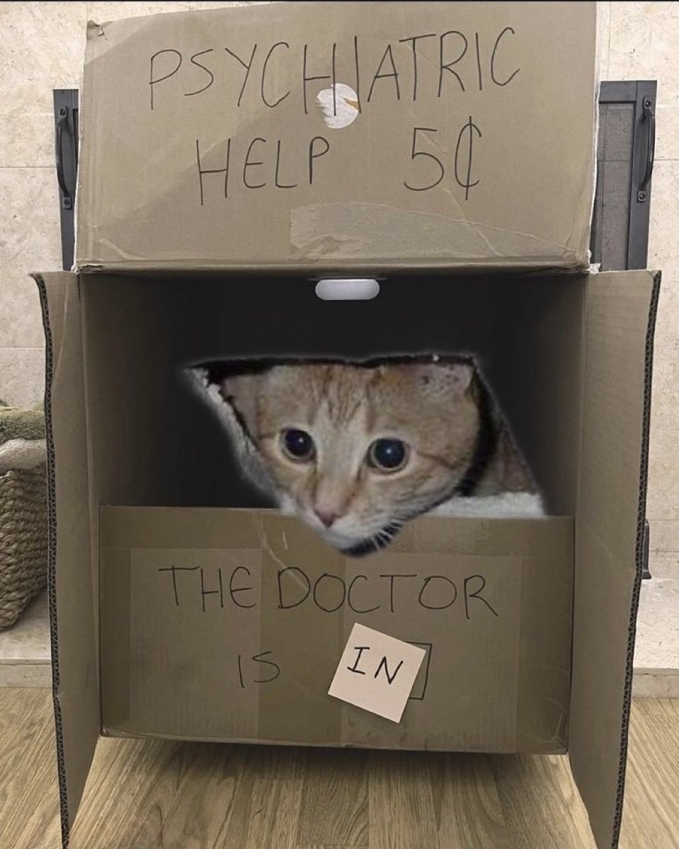 ceilingcat tweet media