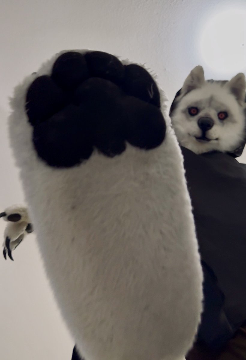 💀 Death Wolf 🐺 tweet media