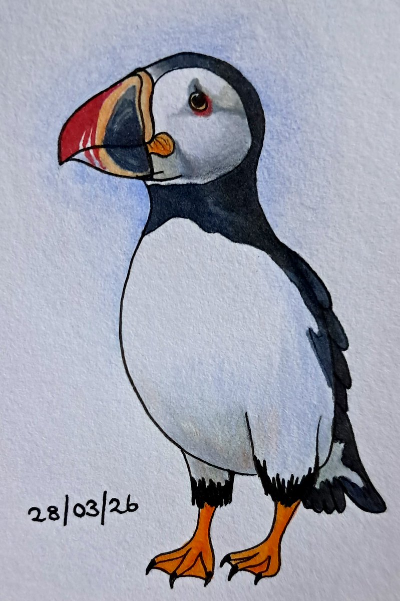 Sam 💜 tweet media