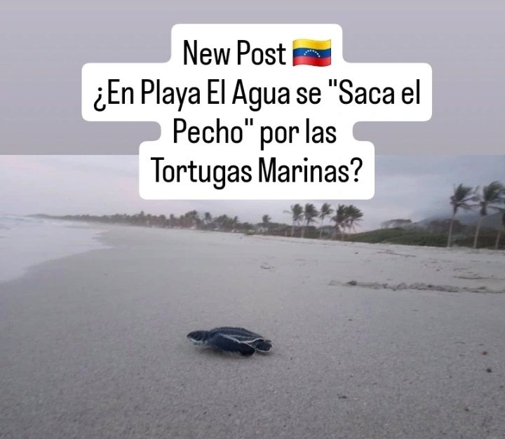 ProyectoCICTMAR tweet media