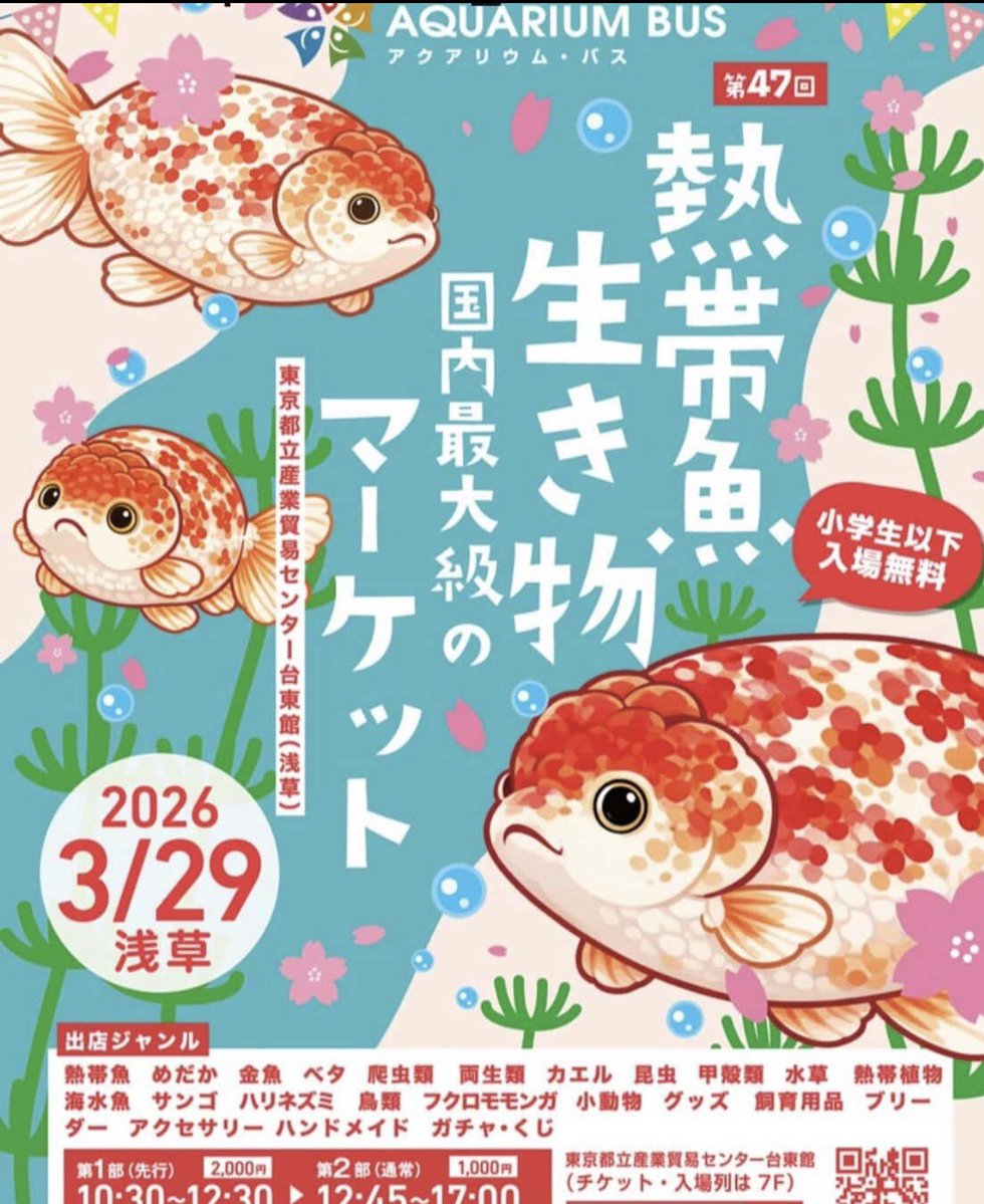 やーす tweet media