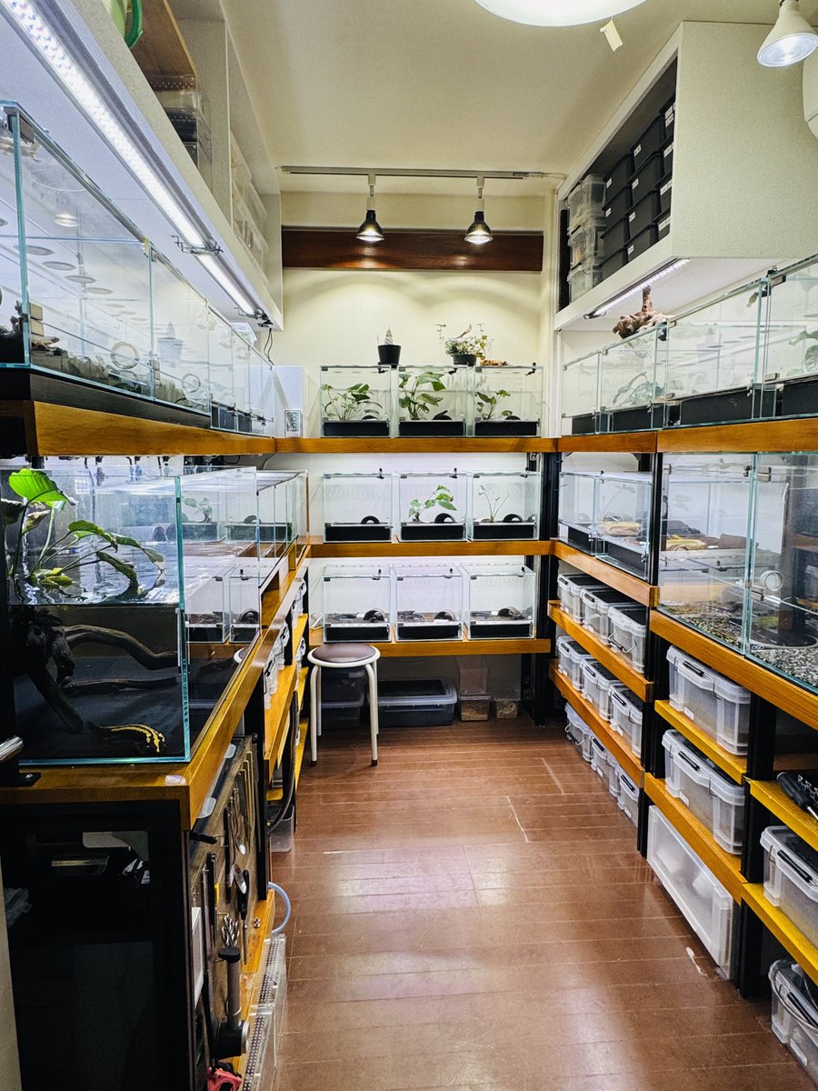 やーす tweet media