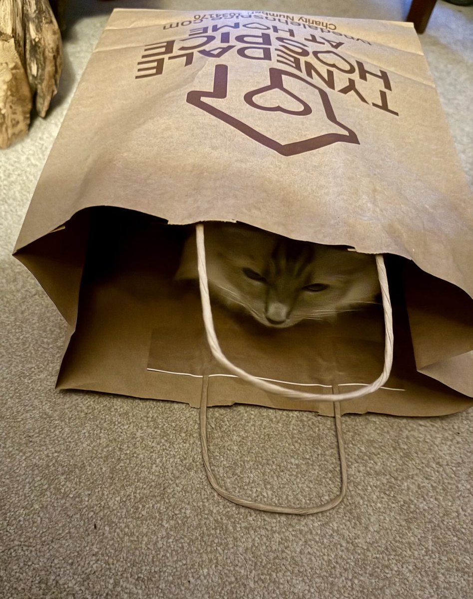 Sam Raincock tweet media