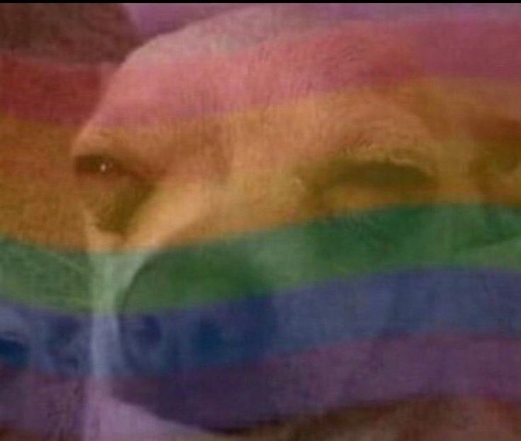 will.It💎🌊 tweet media