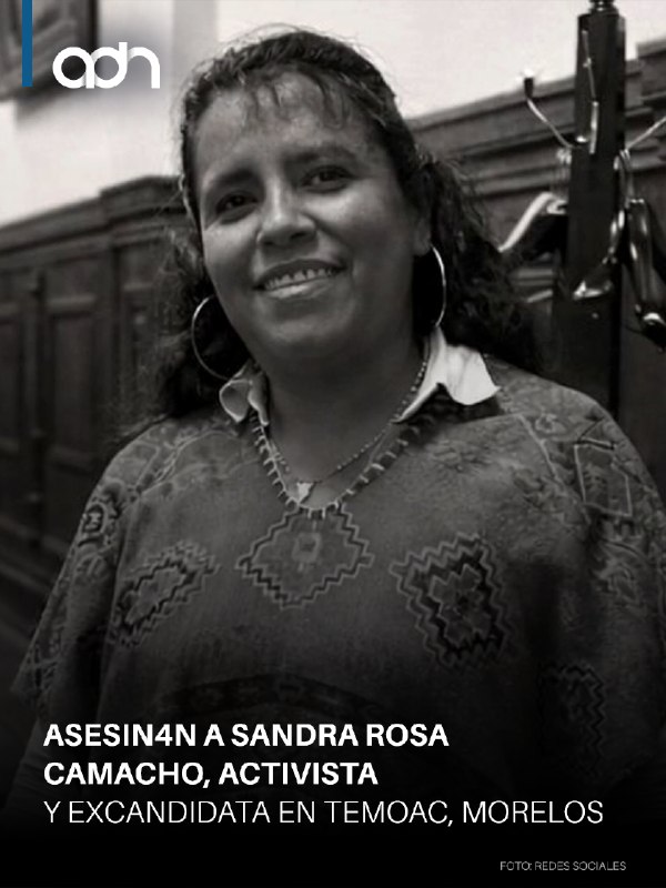 adn Noticias tweet media