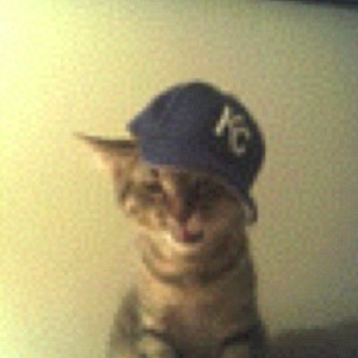 ليلو tweet media