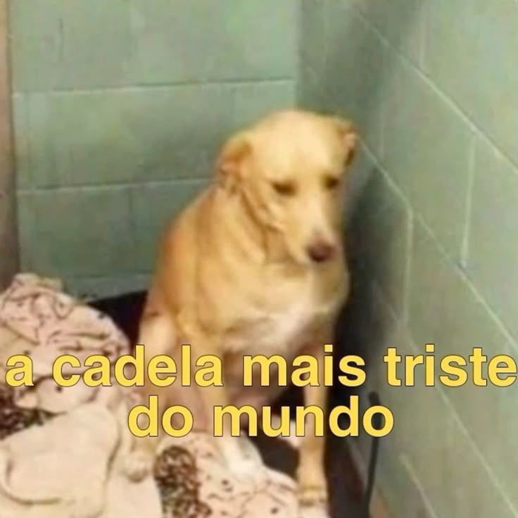 Vi umas fotos da gente na casa do vô e agora peguei depressão