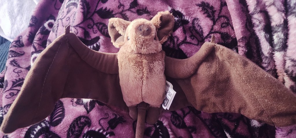 rhys 🥀 @ commissions closed tweet media