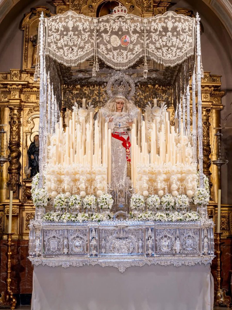 VICENTE FLORES ALÉS ن tweet media