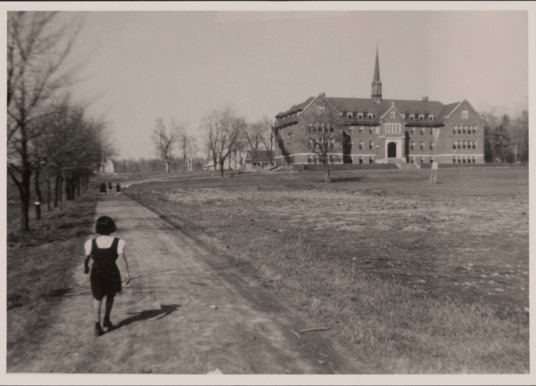 The Reclamare tweet media