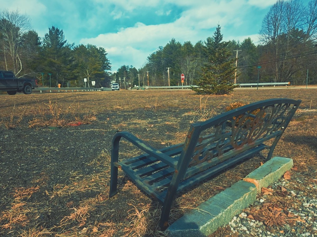 Xander ✝️ 🇵🇸 tweet media