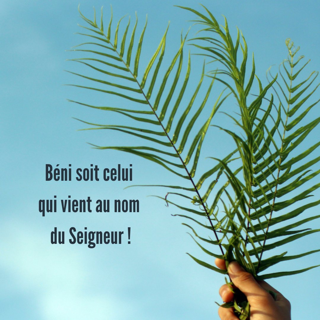 Abbé Pierre Amar tweet media