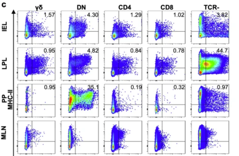 Dr. Thomas Ichim tweet media