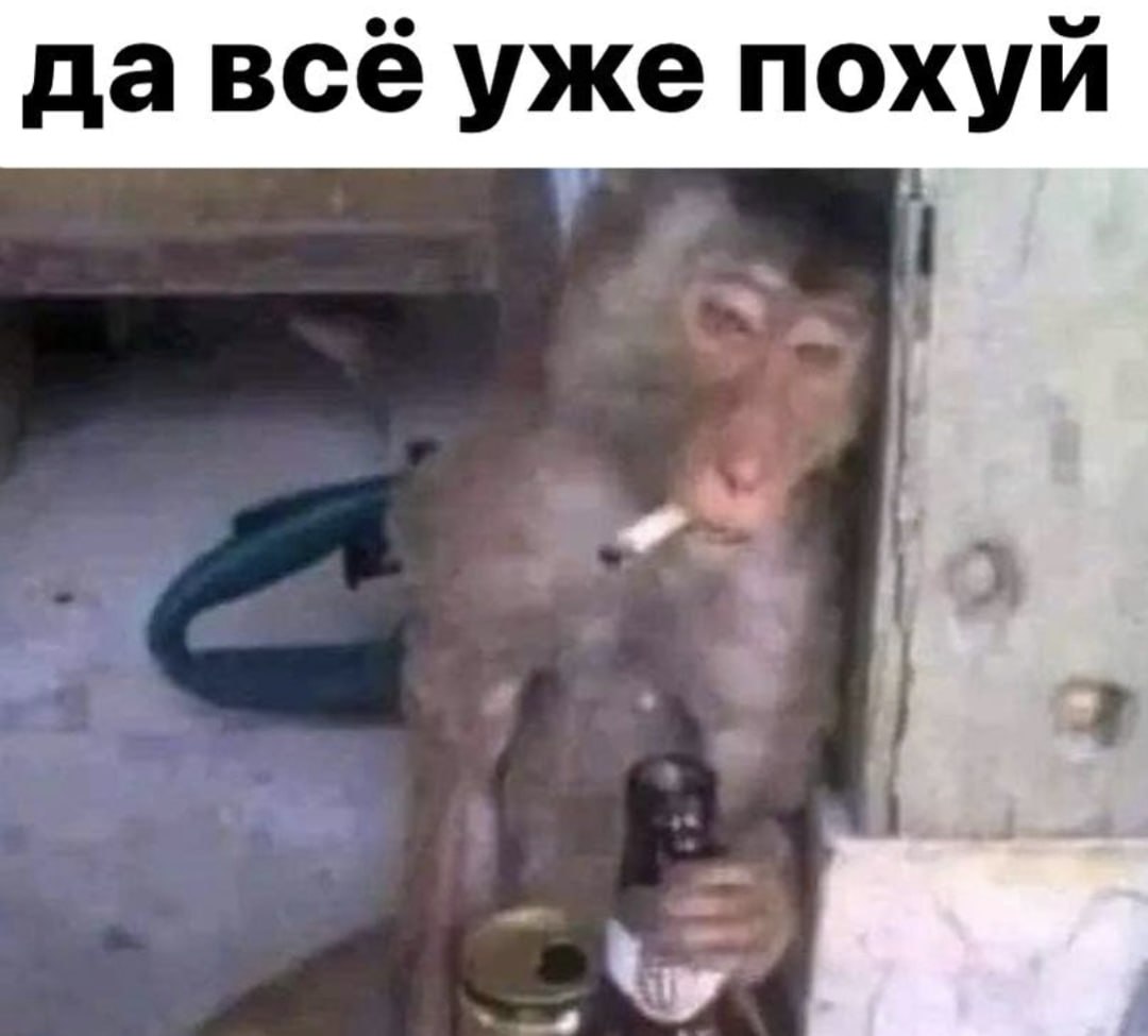 сугарбагет's selected щищьпостинг tweet media