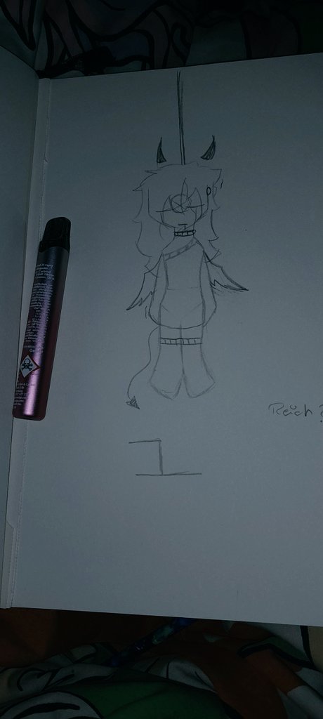 Reichi fanart (not finish)