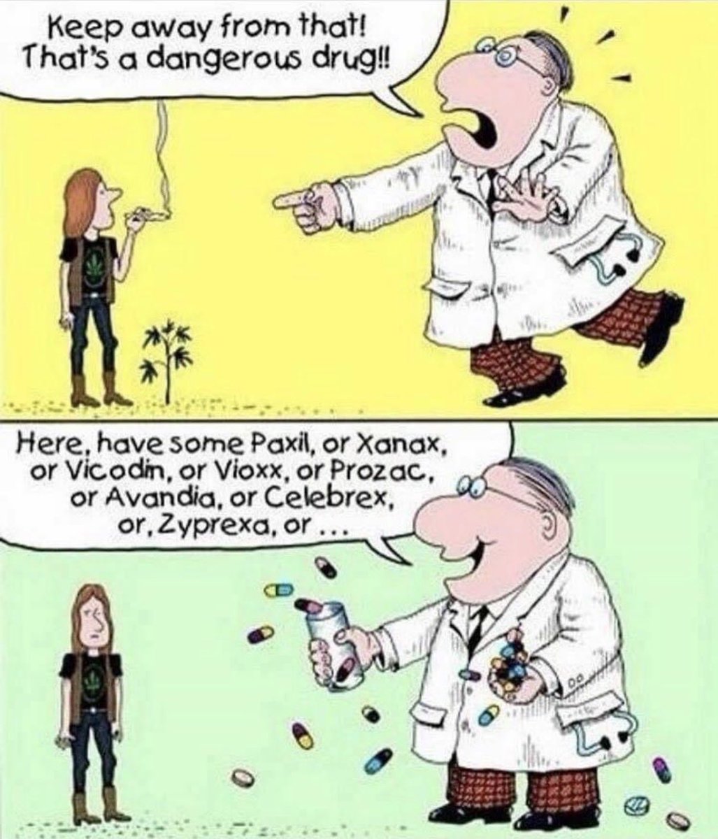 amitylee13's tweet photo. Prohibition always has an agenda. I’m sure big pharma has just as much of an interest as the prison industrial complex does in keeping plants illegal. https://t.co/WPjl6IqBs9