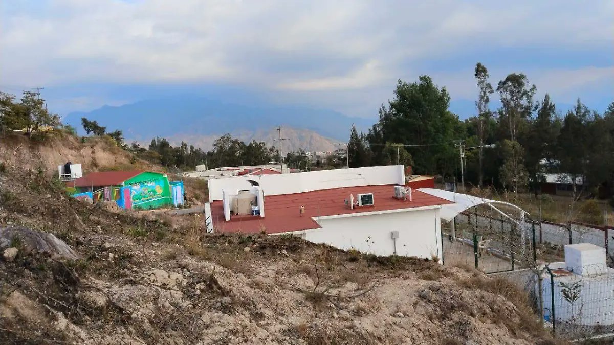 ᴄʀɪᴍᴇ sᴜʙᴄᴜʟᴛᴜʀᴇs tweet media