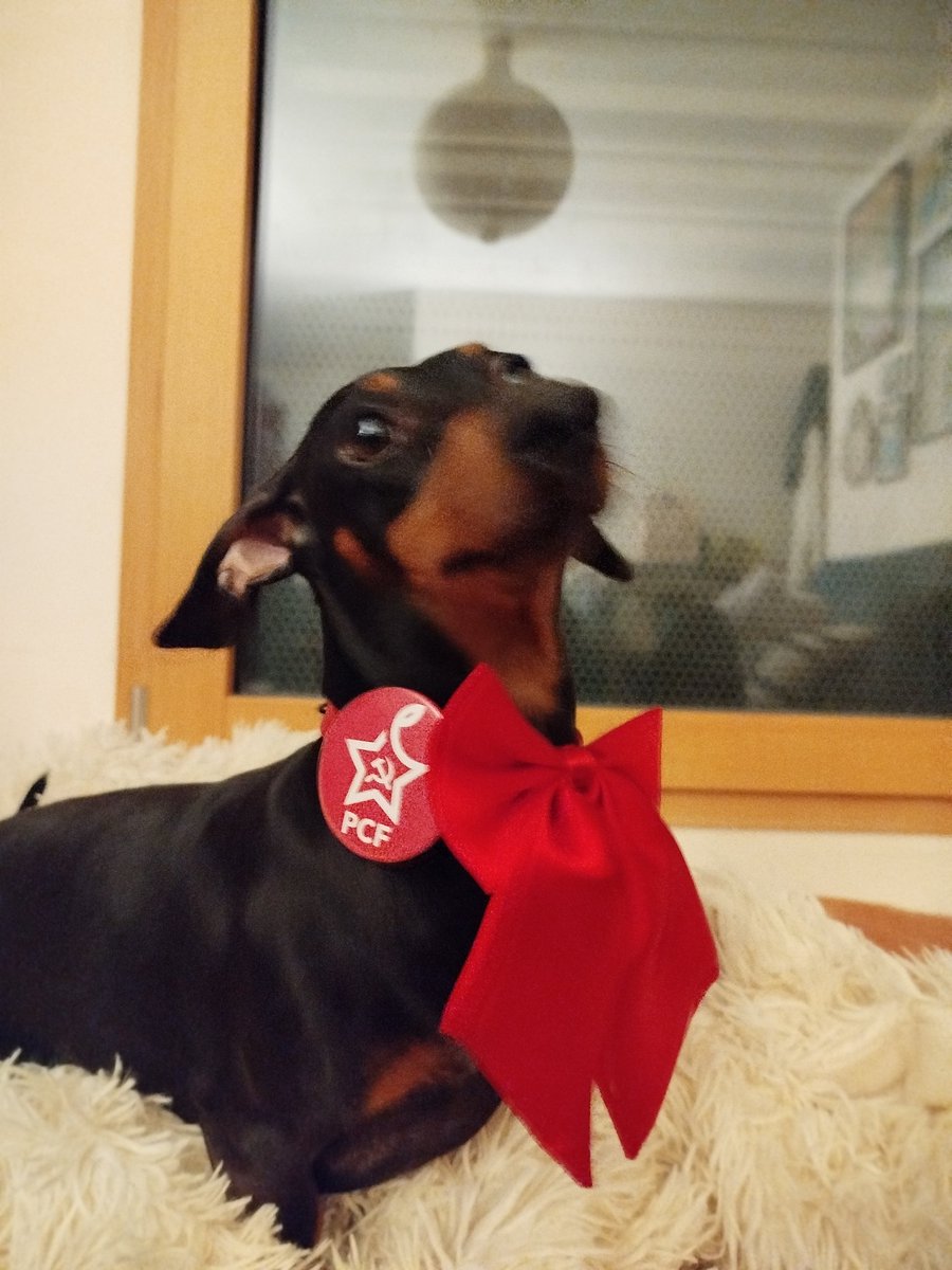 Vermicelle-Lenine, secrétaire de la CGT Chiens-Saucisse apporte officiellement son soutien à la candidature de Fabien Roussel pour les élections présidentielles de 2027
