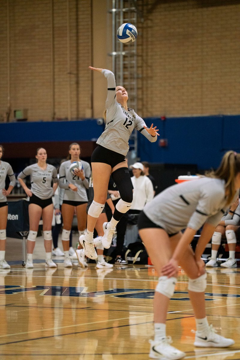 Colorado Buffaloes Volleyball tweet media