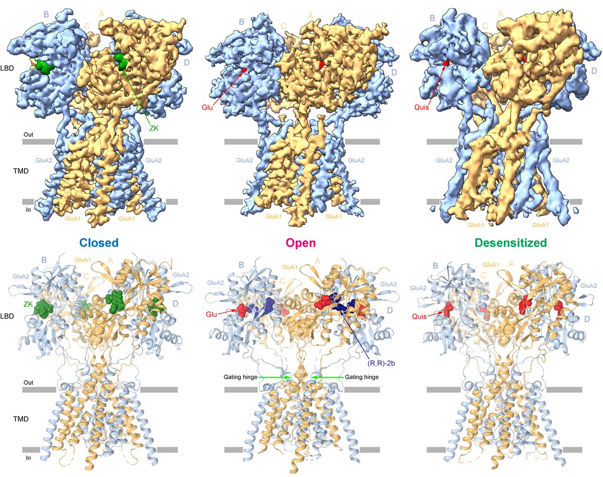 Alexander Sobolevsky tweet media