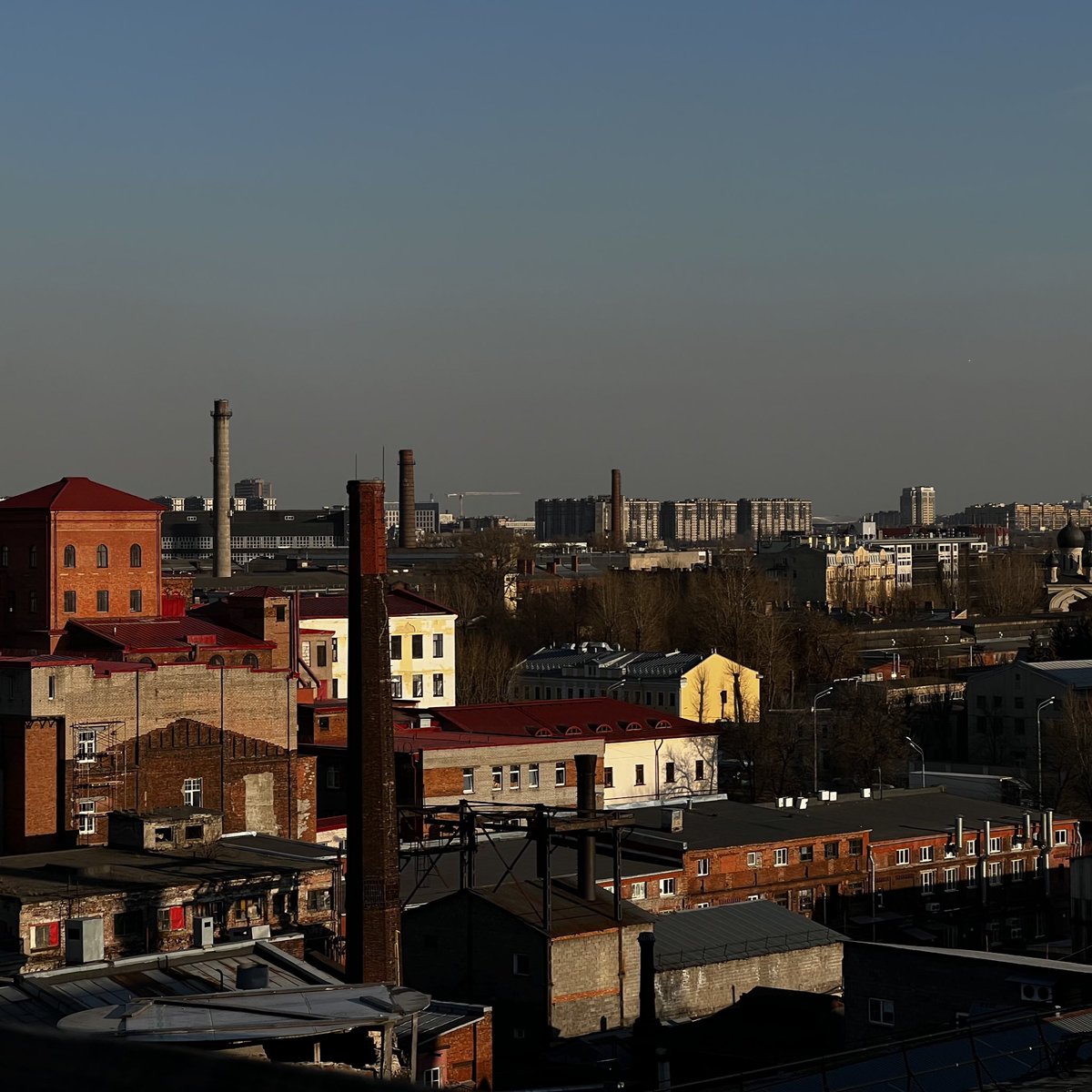 марлинская tweet media