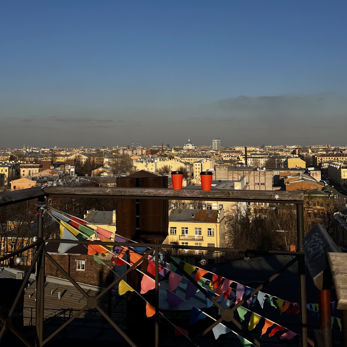 марлинская tweet media