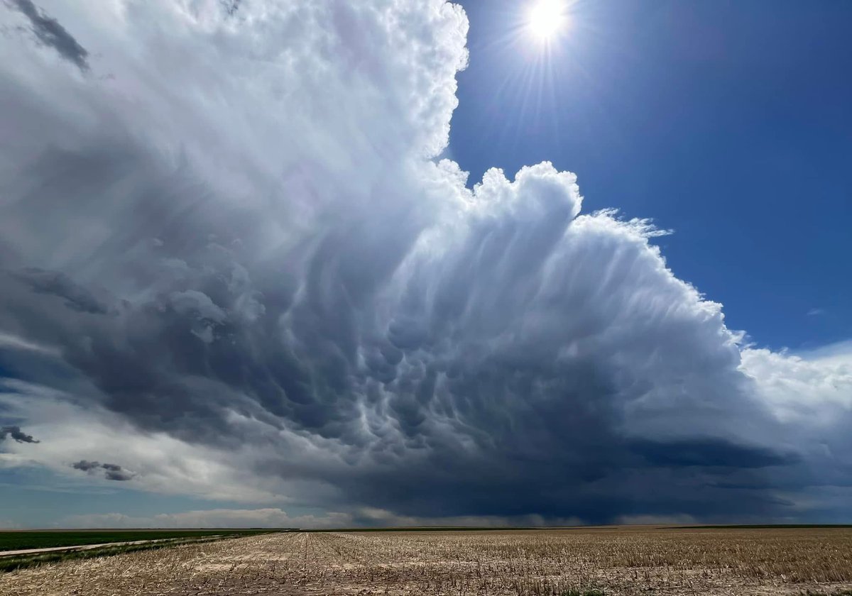 AustraliaSkynWeather tweet media