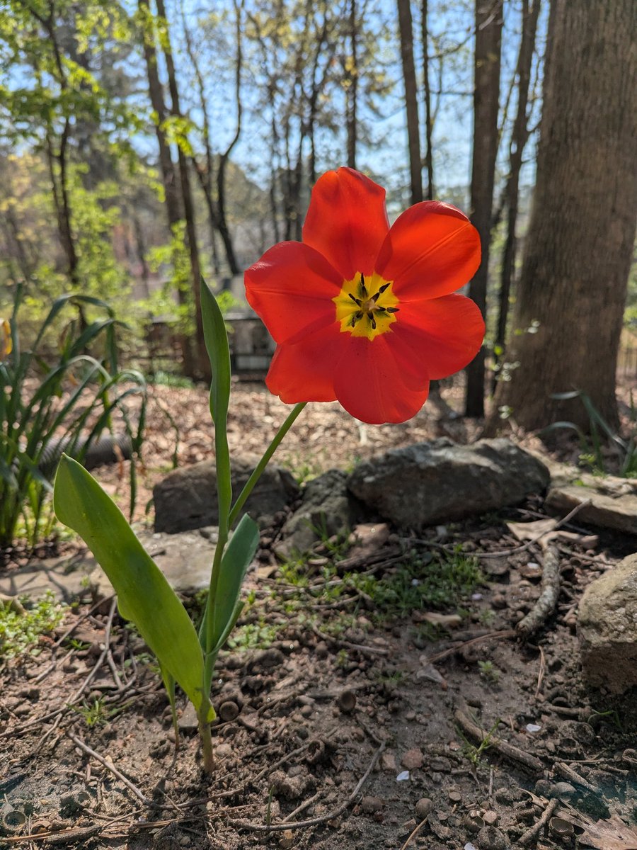 William Newberry tweet media