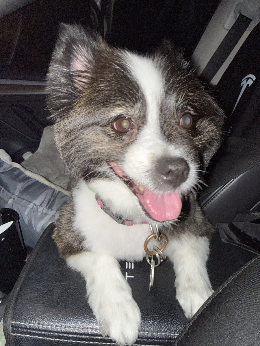 Melissa Acosta 💜🤎❤️ tweet media