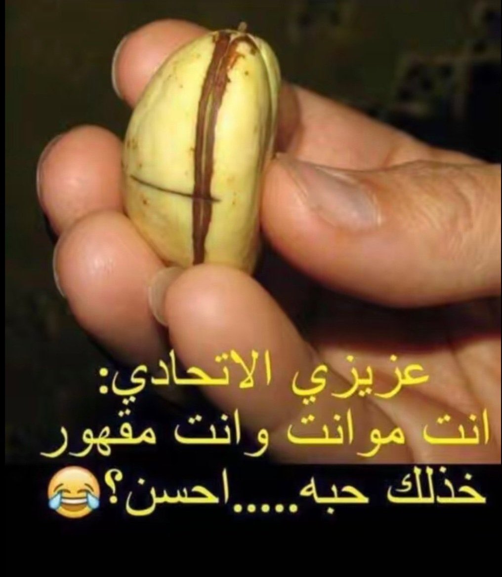 راعي الأولة الملكي🇸🇦 tweet media