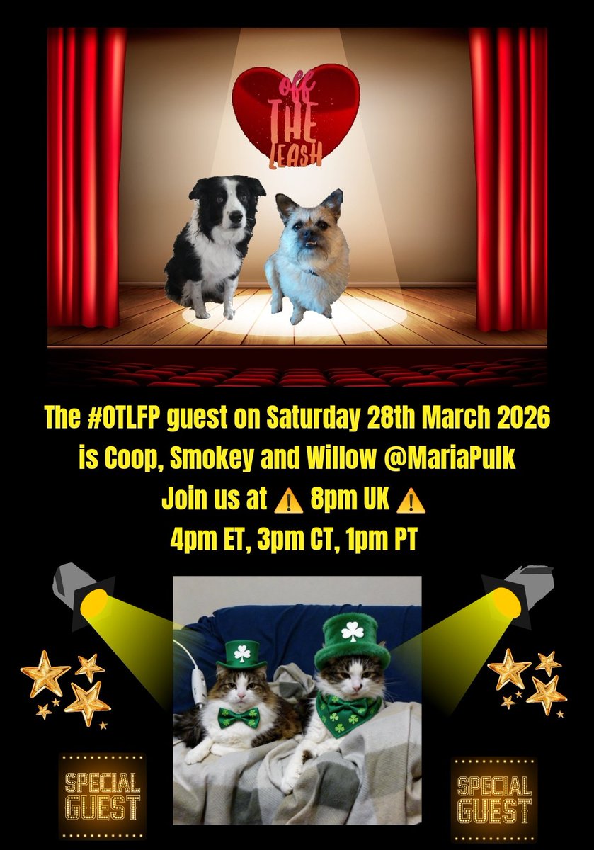 Millie🐾🌈#oneforallandallformillie 🐾🌈 tweet media