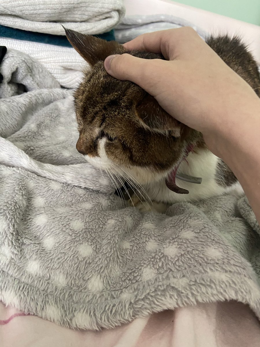 Amon ⟳ (ᴇᴍʀᴇ ᴇʀᴀ♡) tweet media