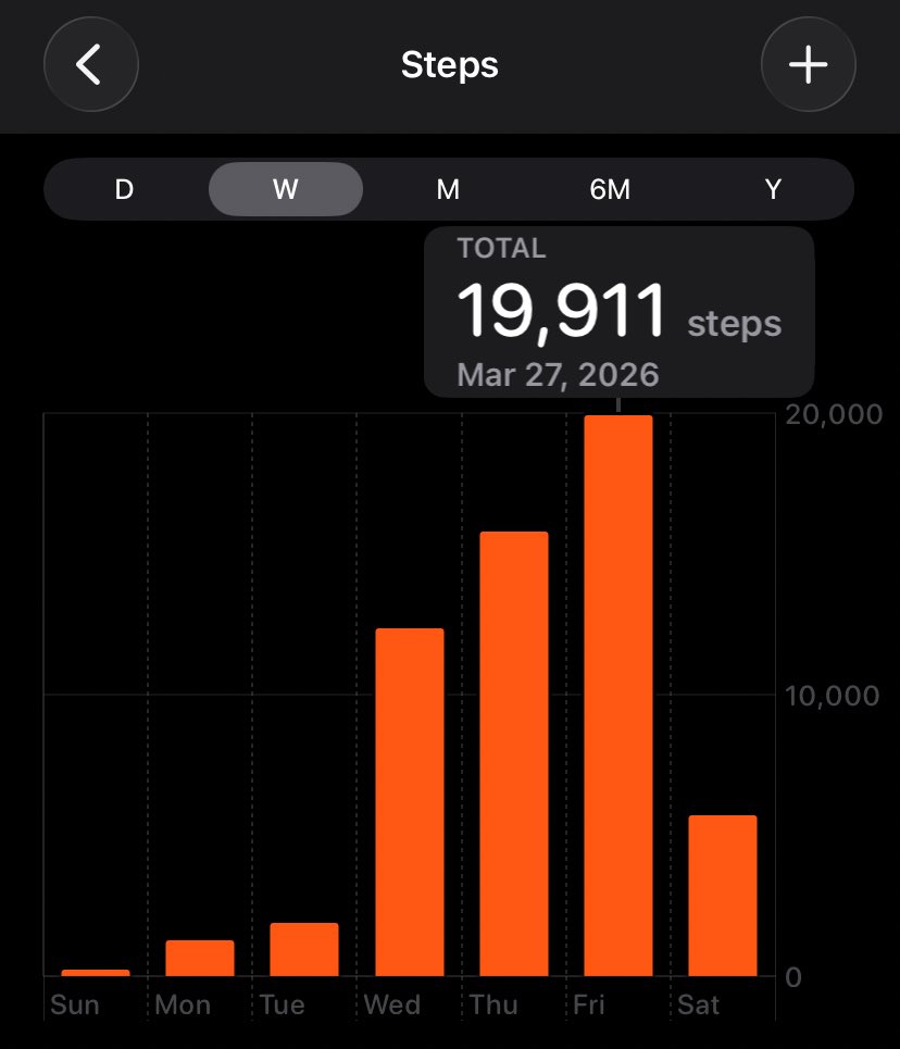 Bear the Witch 🐻🎨 VTuber tweet media