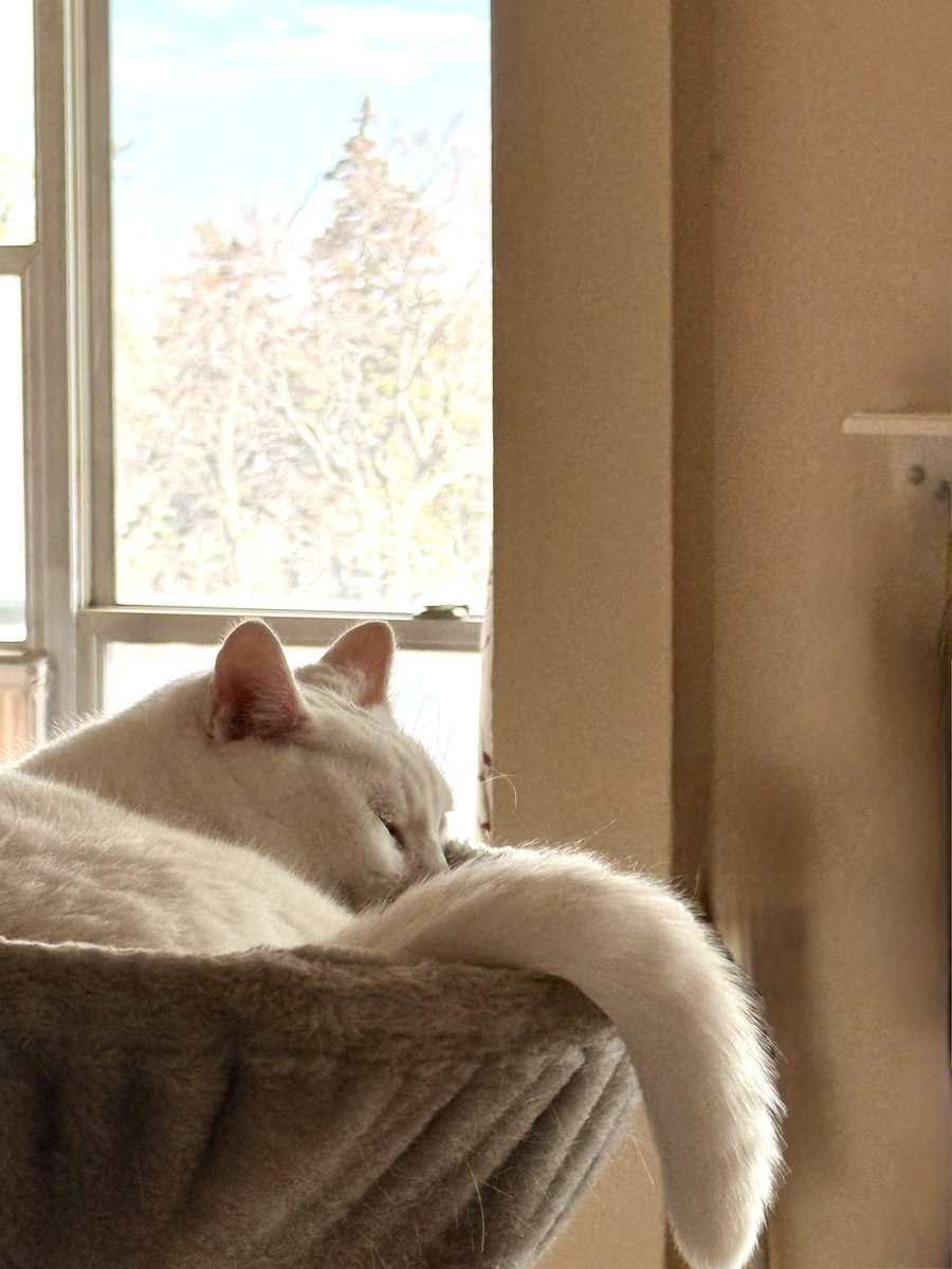 Christopher 🫨 tweet media