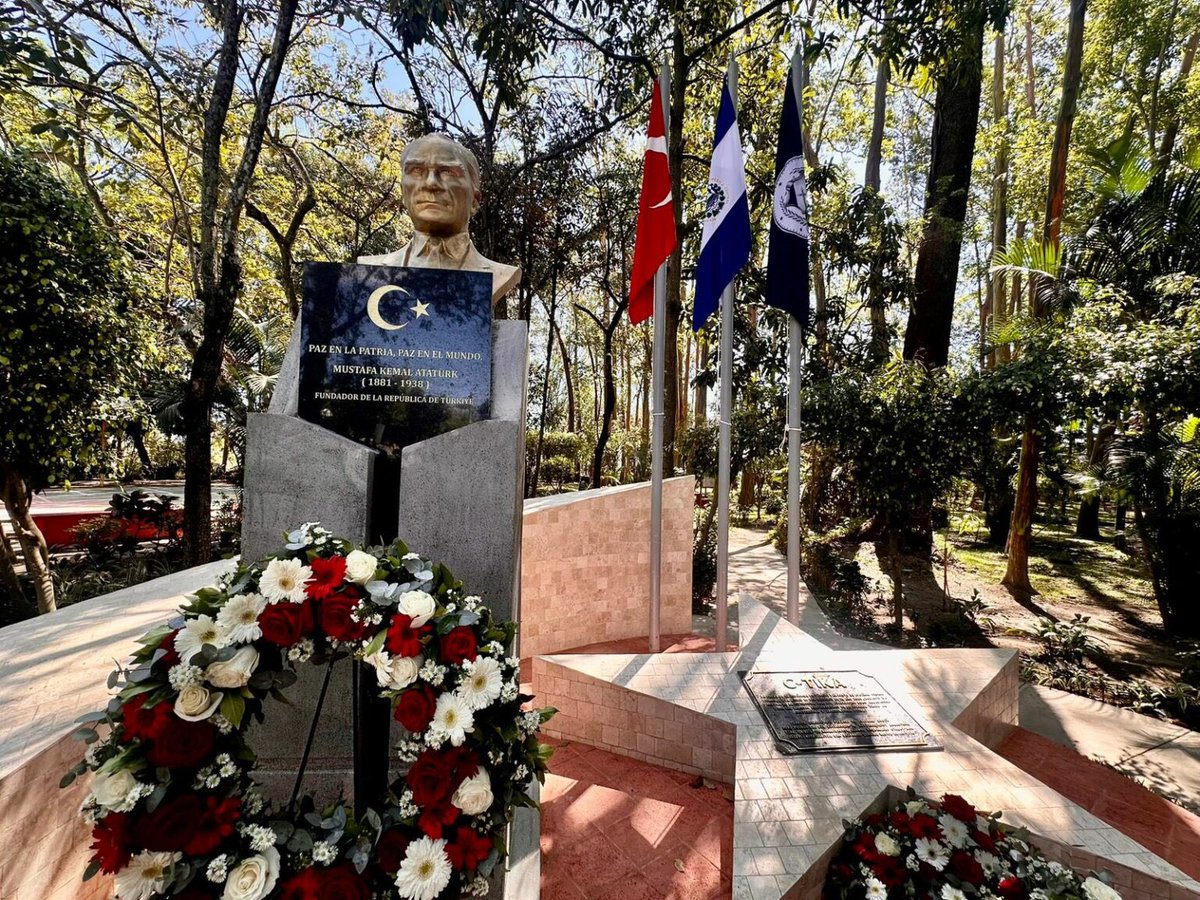 Con Sinov tweet media