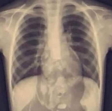 Man City Esports tweet media