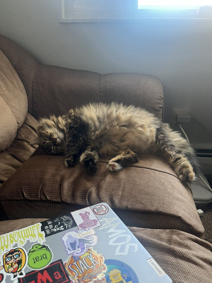 QUEERBILLY tweet media