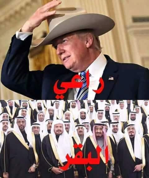 احمد الحبيب tweet media