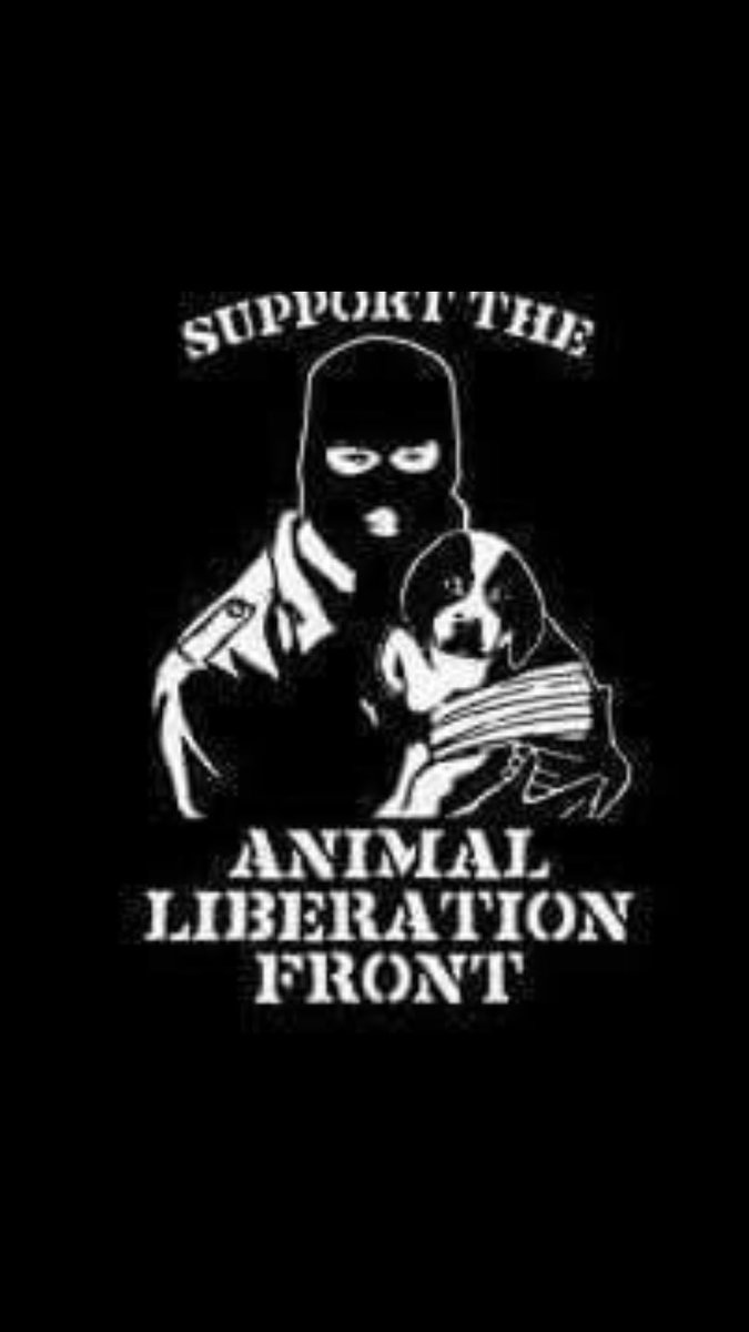 Lolly🌹 (@lollymadonna) on Twitter photo 