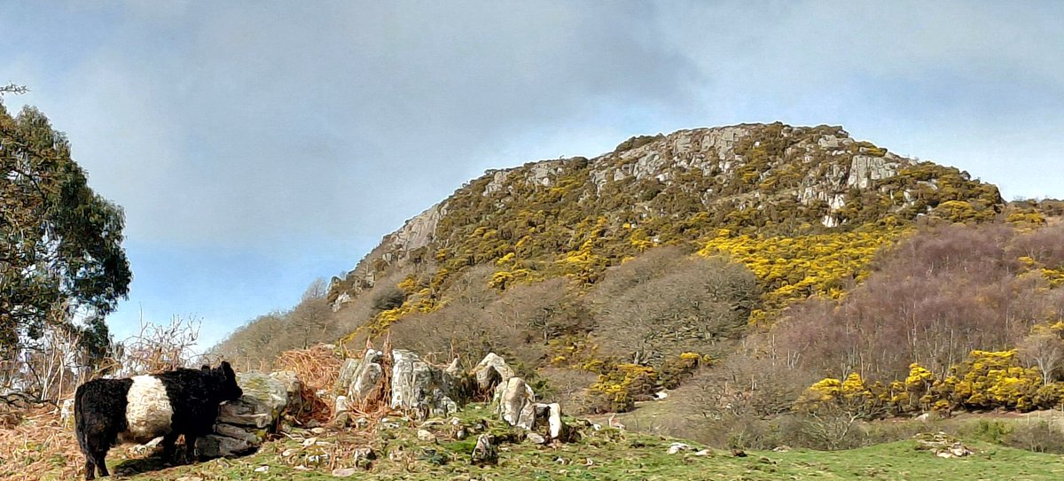 Stuart Paterson tweet media