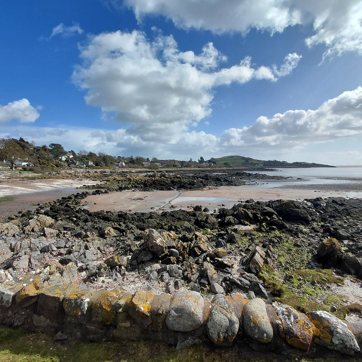 Stuart Paterson tweet media