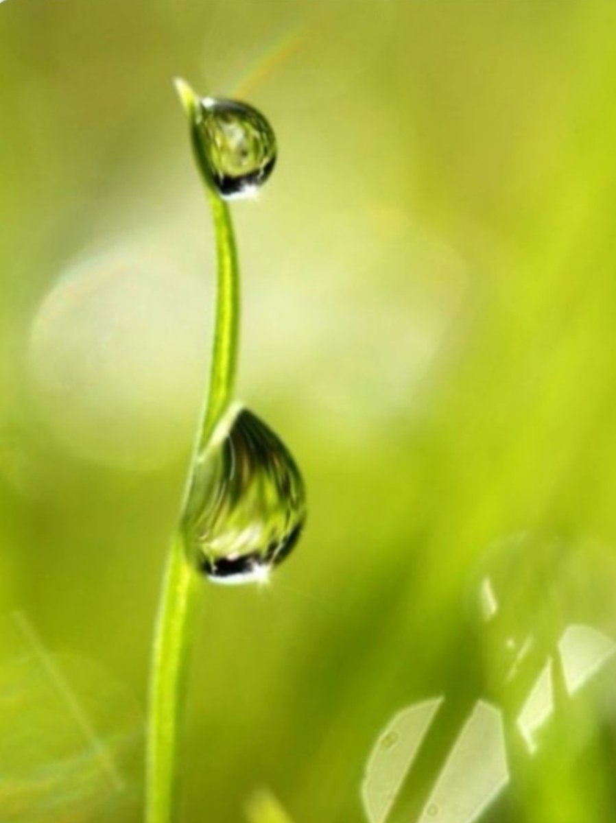 Suzana B tweet media