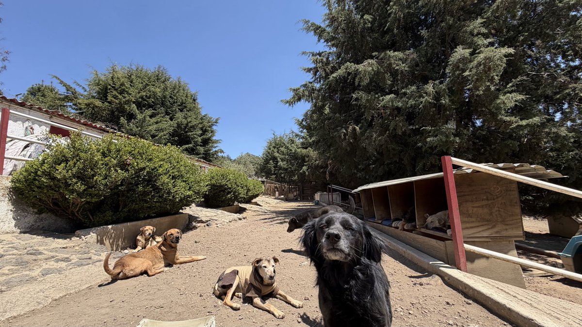 Oceanican tweet media